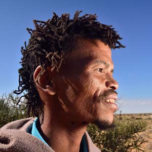 The Roots of Equality by Lantz Miller
